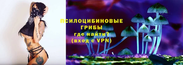 Альфа ПВП Алзамай