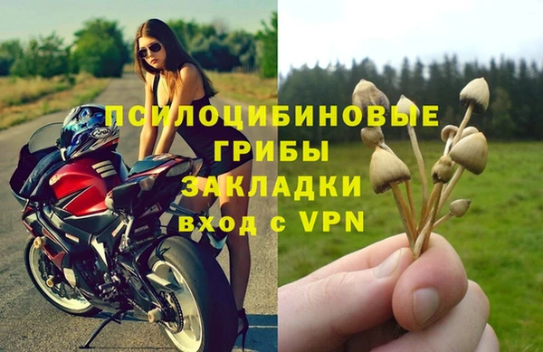 прущие грибы Алексин