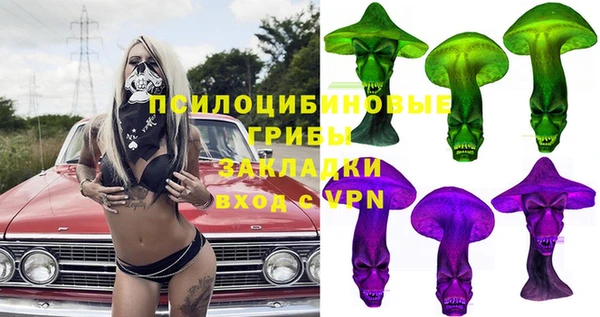 прущие грибы Алексин