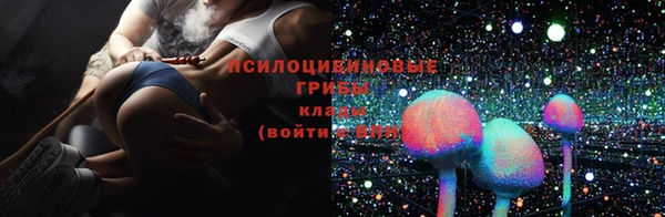 прущие грибы Алексин