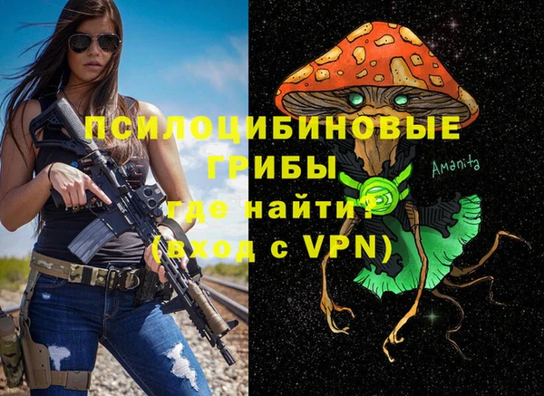 ПСИЛОЦИБИНОВЫЕ ГРИБЫ Алексеевка