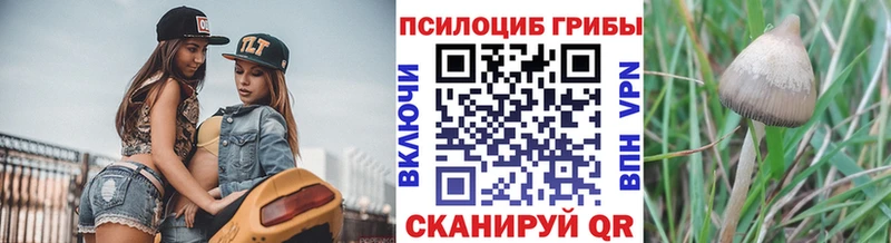 хочу наркоту Первоуральск Галлюциногенные грибы GOLDEN TEACHER